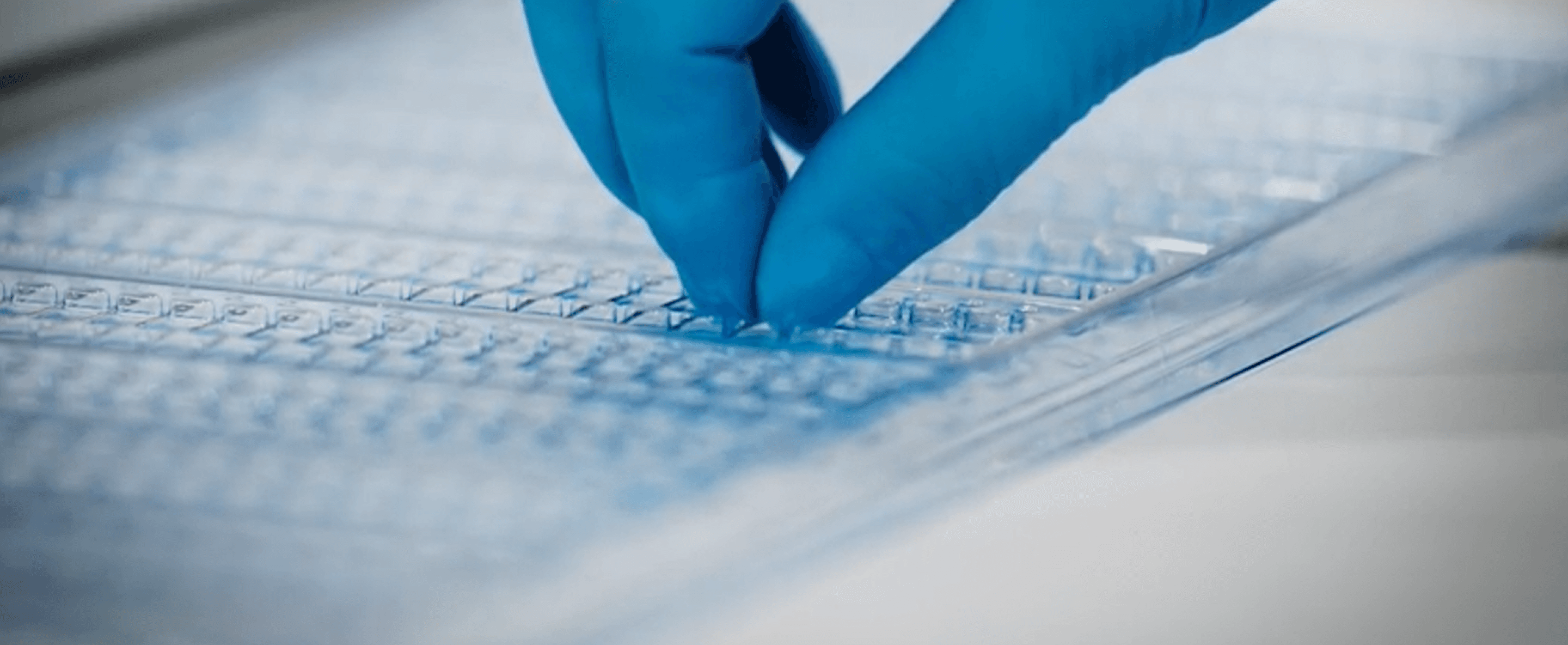 Image of a lab